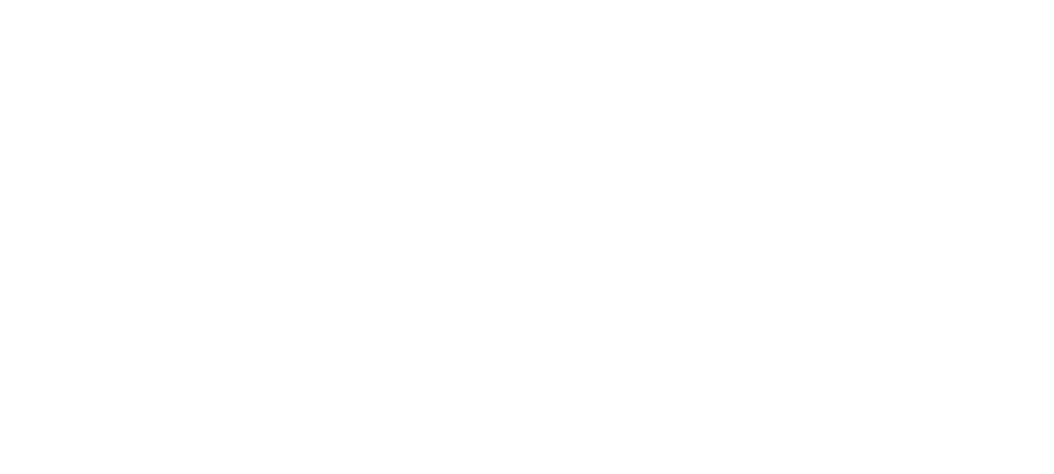 logo evis white